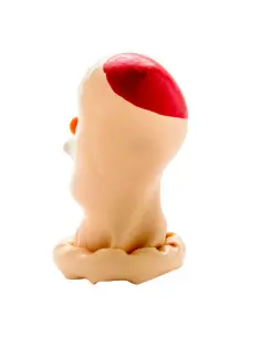 CONDOMERIE PRESERVATIVO DECORATIVO PINTADO A MANO SANTA 2