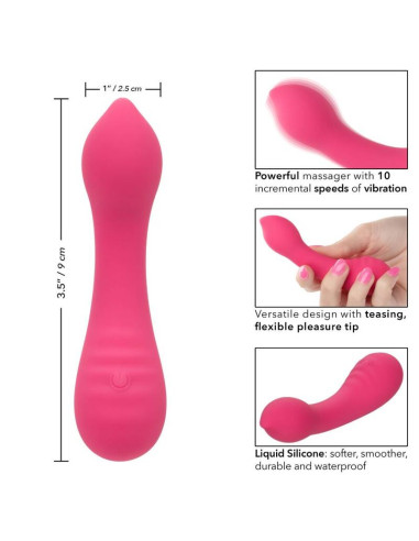 CALEXOTICS PIXIES TEASER ROSA