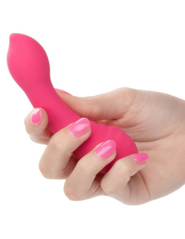 CALEXOTICS PIXIES TEASER ROSA