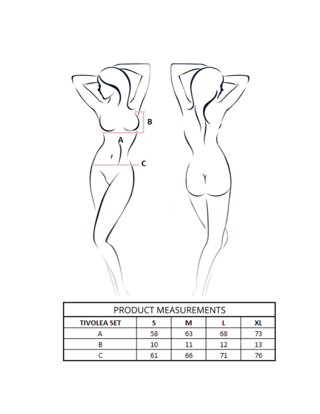 PASSION TIVOLEA SET SUJETADOR TANGA VIOLETA L XL PASSION TIVOLEA SET SUJETADOR TANGA VIOLETA L XL