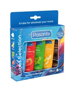 PASANTE PACK LUBRICANTES SABORES VARIADOS 5 UDS X 15 ML