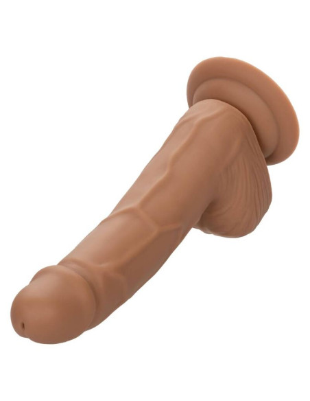 CALEXOTICS SILICONE STUDS 1524 CM BROWN