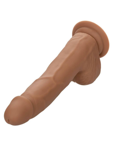 CALEXOTICS SILICONE STUDS 2032 CM BROWN