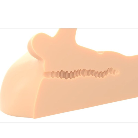 PDX PLUS MASTURBADOR PERFECT RIDE PENE Y ANO