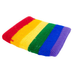 PRIDE MUNEQUERA BANDERA LGBT 2