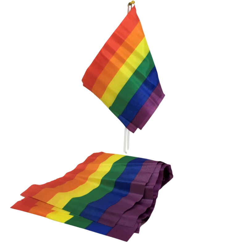 PRIDE BANDERIN PEQUENO BANDERA LGBT