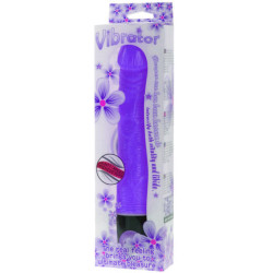 BAILE VIBRATOR MULTISPEED 215 CM MORADO 2