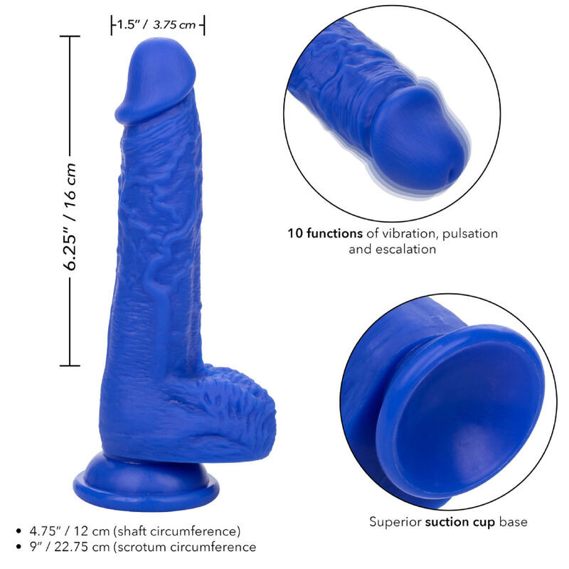 CALEXOTICS ADMIRAL SAILOR DILDO REALISTICO VIBRADOR AZUL