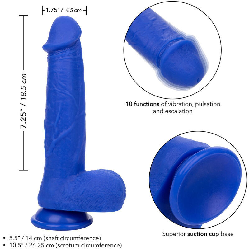 CALEXOTICS ADMIRAL CAPTAIN DILDO REALISTICO VIBRADOR AZUL