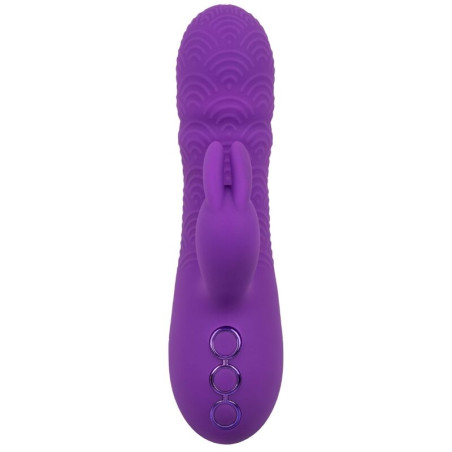 CALEXOTICS MANHATTAN BEACH MARVEL VIBRADOR RABBIT MORADO BY CALIFORNIA DREAMING