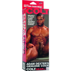 CALEXOTICS COLT PENE REALISTICO ADAM DEXTER 2