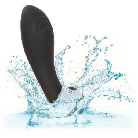 CALEXOTICS LIQUID SILICONE FLEX PROBE
