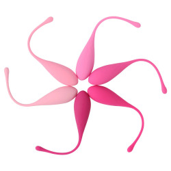 LESLIE KEGEL FIT ENTREGADOR SUELO PELVICO 6 PESOS 2