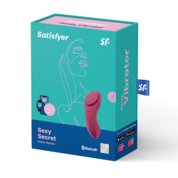 SATISFYER SEXY SECRET PANTY 2