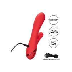 CALEXOTICS PALISADES PASSION RED 2