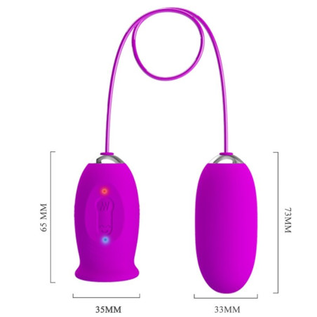 PRETTY LOVE DAISY HUEVO DUAL VIBRADOR RECARGABLE MORADO