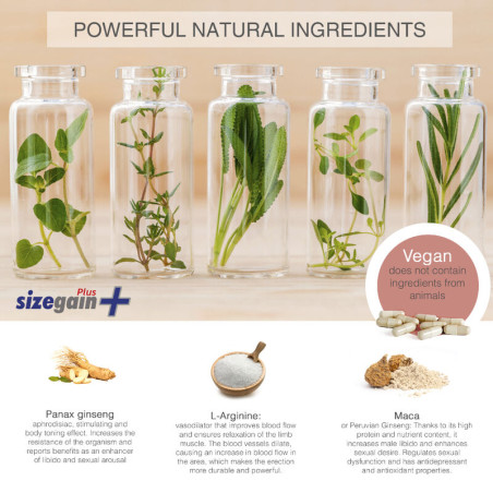SizeGain Plus Complemento alimenticio para aumentar el tamano del pene y mejorar la potencia sexual