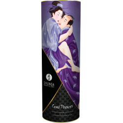 SHUNGA KIT COLECCION PLACERES CARNALES 2