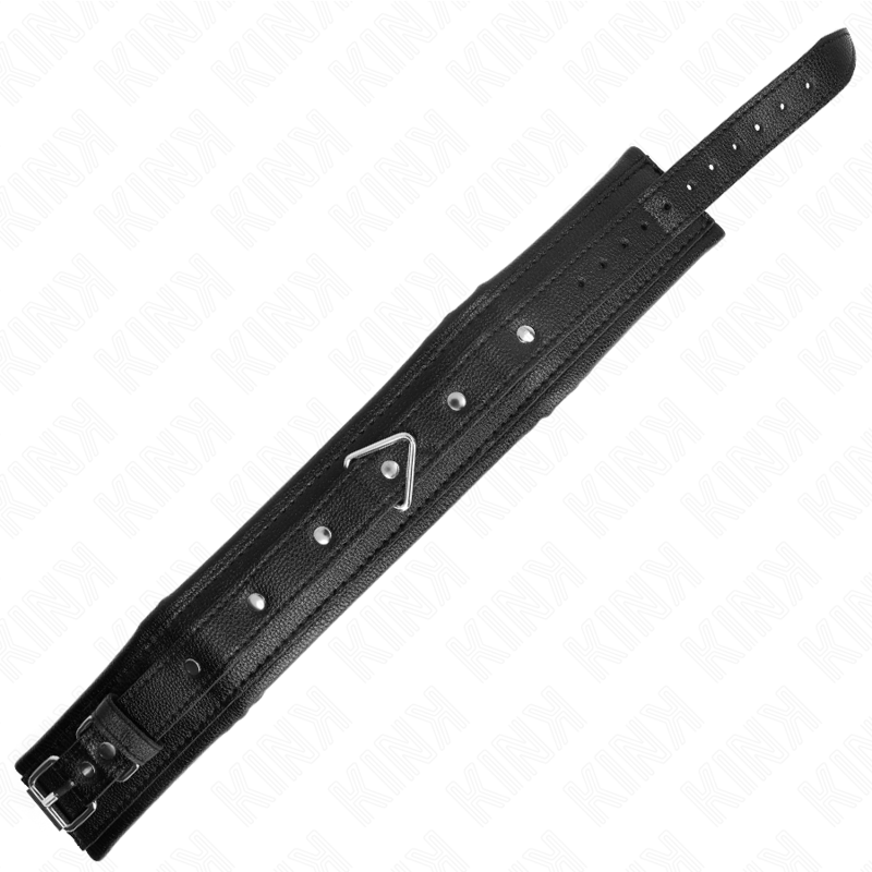 KINK COLLAR CON CORREA ESPONJA IMITACION CUERO MODELO 1 AJUSTABLE 37 54 CM X 3 CM