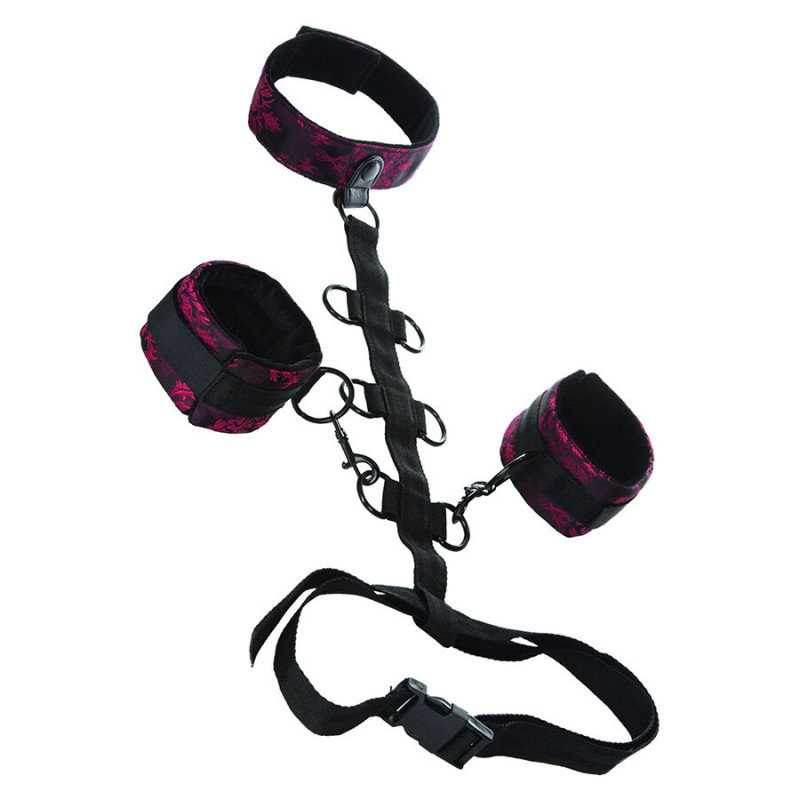 CALEXOTICS SCANDAL SUJECION COMPORAL CON CUELLO