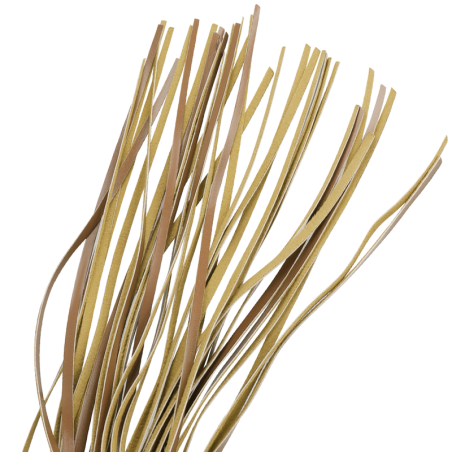 FETISH SUBMISSIVE ORIGEN LTIGO CUERO VEGANO