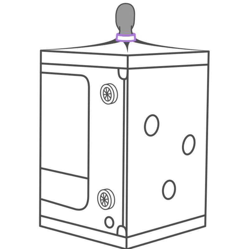 SECRET DOME KINK CLUB CABINA SCANDALE MORADO