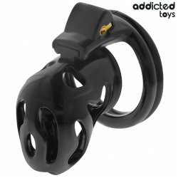 ADDICTED TOYS LOCKED SEALED CRYPT JAULA PARA PENE 8 CM 2