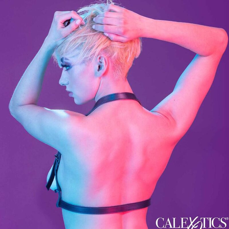 CALEXOTICS EUPHORIA ARNES HATLER CON HEBILLA NEGRO