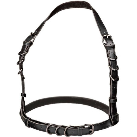 CALEXOTICS EUPHORIA ARNES HATLER CON HEBILLA TALLA GRANDE NEGRO