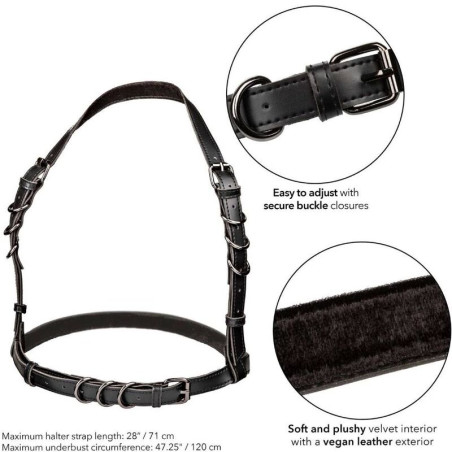 CALEXOTICS EUPHORIA ARNES HATLER CON HEBILLA TALLA GRANDE NEGRO