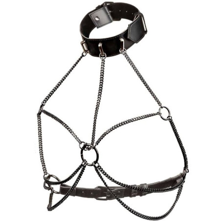 CALEXOTICS EUPHORIA ARNES DE CUELLO DE CADENA TALLA GRANDE