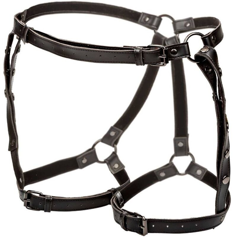 CALEXOTICS EUPHORIA ARNES DE MUSLO EQUITACION TALLA GRANDE