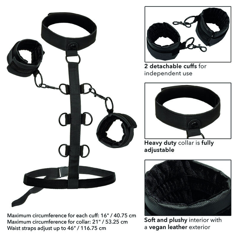 CALEXOTICS BOUNDLESS SUJECCION DEL CUERPO Y EL CUELLO