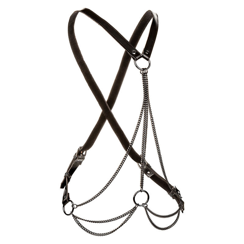 CALEXOTICS EUPHORIA ARNES DE MULTIPLES CADENAS PREMIUM