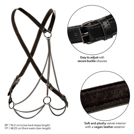 CALEXOTICS EUPHORIA ARNES DE MULTIPLES CADENAS PREMIUM TALLA PLUS