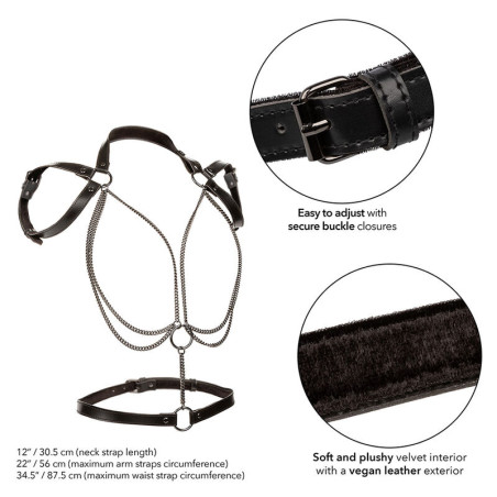 CALEXOTICS EUPHORIA ARNES ESTILO CABESTRO CON MULTIPLES CADENAS PREMIUM