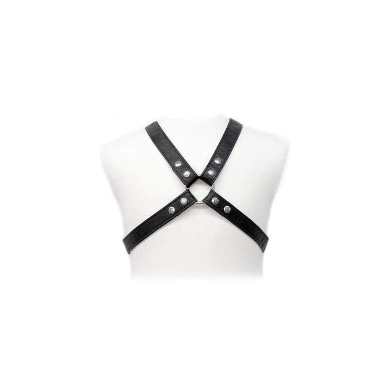 LEATHER BODY LASIC HARNESS IN GARMENT