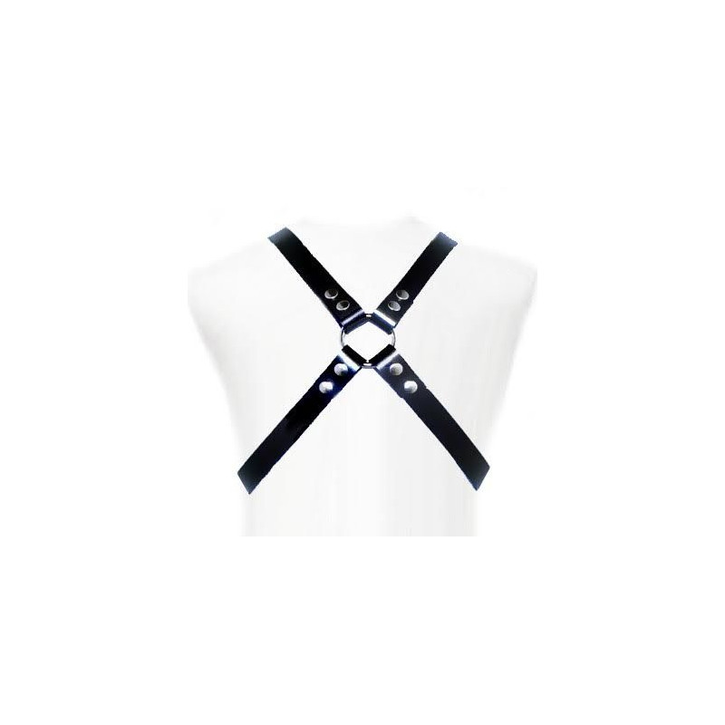 LEATHER BODY BASIC HARNESS