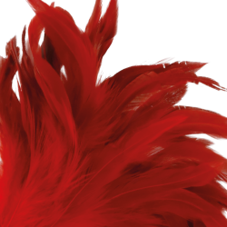 DARKNESS PLUMA ESTIMULADORA ROJO 24CM 2