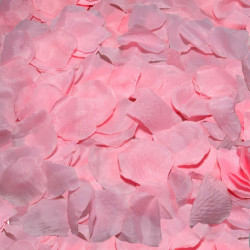 DIABLO PICANTE 100 PINK PETALS 2