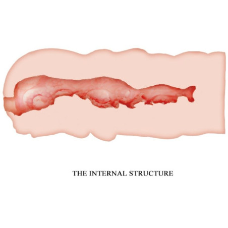 CRAZY BULL ISABEL MASTURBADOR VAGINA 135 CM