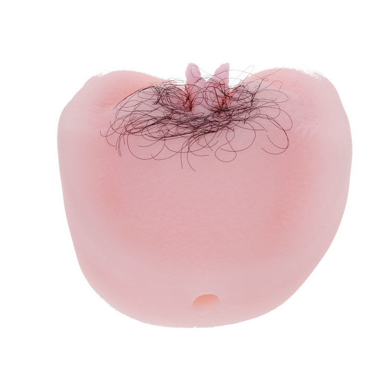 BAILE ANTHEA MAGIC FLESH VIBRATON PUSSY