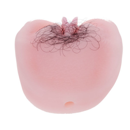 BAILE ANTHEA MAGIC FLESH VIBRATON PUSSY