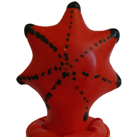CONDOMERIE PRESERVATIVO DECORATIVO PINTADO A MANO ESTRELLA DE MAR