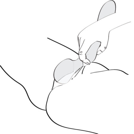 SHUNGA ZOA MASAJEADOR INTIMO FUCSIA