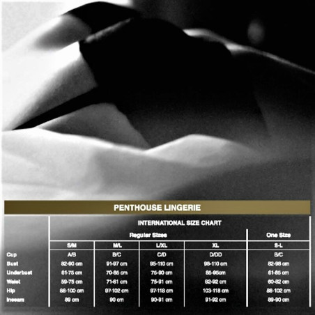 PENTHOUSE ADORE ME PANTIES BLANCO L XL