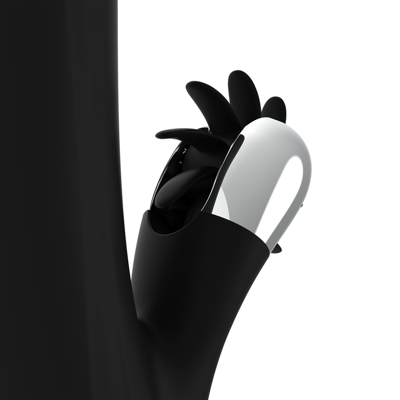 BLACKSILVER BUNNY STORM ROTATION VIBE