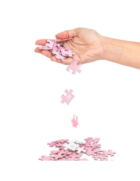 SECRET PLAY PUZZLE GAME SEXXXZZLE