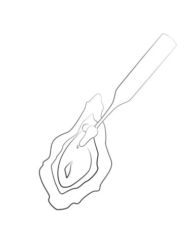 ROMP POP HIGH FREQUENCY CLITORAL STIMULATOR RED