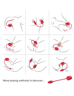 ARMONY PINK 2 IN 1 SUCTION STIMULATOR VIBRATOR 10 MODES WITH RED TAIL 2